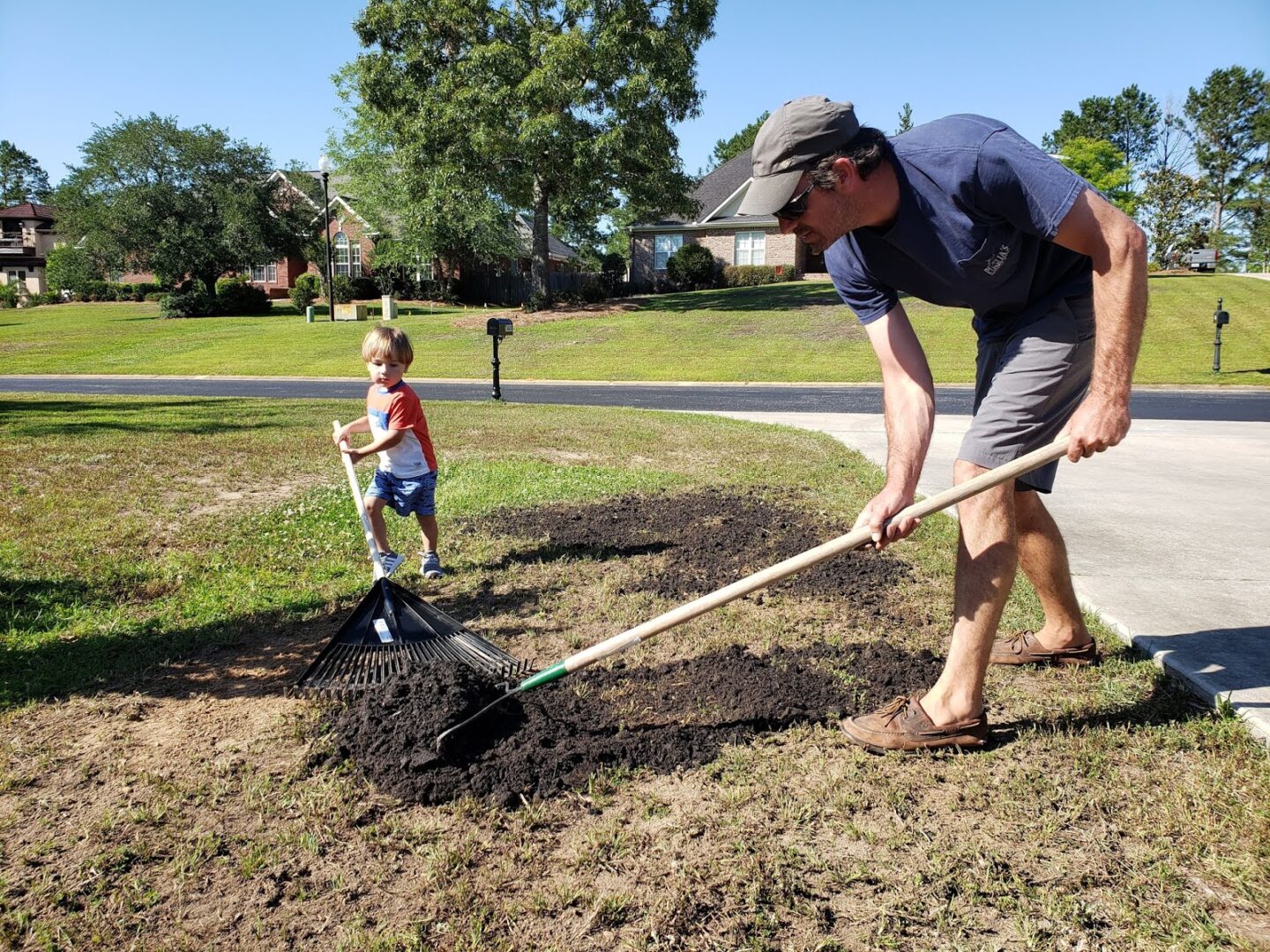 Add top soil to seed bed to help with nutrient uptake and water retention.